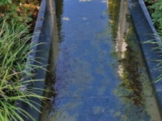 20230928_Gaerten-der-Welt (11)